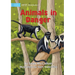 Animals in Danger