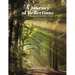 A Journey Of Reflections