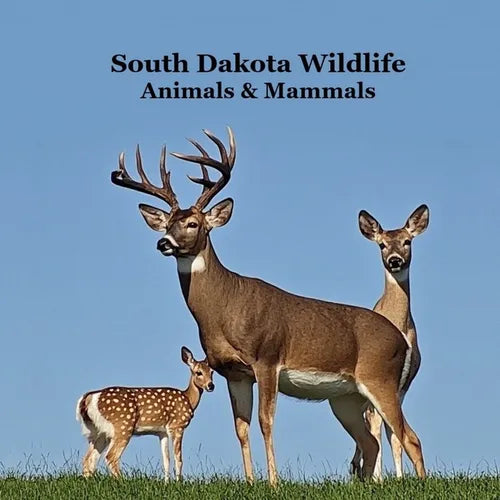 South Dakota Animals and Mammals Wildlife Book: Great South Dakota Animals Book for Children of all Ages