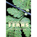 A Natural History of Ferns: A Natural History of Ferns