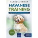 Havanese Training: Dog Training for Your Havanese Puppy