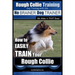 Rough Collie Training Dog Training with the No BRAINER Dog TRAINER We Make it THAT Easy!: How to EASILY TRAIN Your Rough Collie
