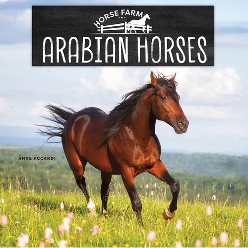 Arabian Horses