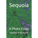 Sequoia: A Photo Essay