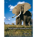 Statistical Computation for Environmental Sciences in R: Lab Manual for Models for Ecological Data