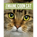 The Maine Coon Cat