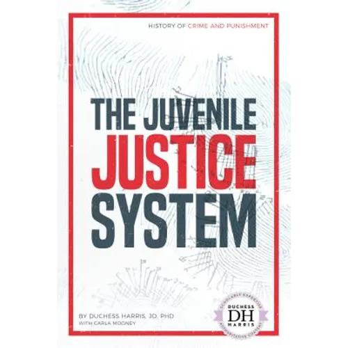 Juvenile Justice System