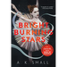 Bright Burning Stars