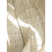 Embodied Light: The Bahá'í Temple of South America