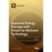 Seasonal Energy Storage with Power-to-Methane Technology
