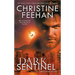 Dark Sentinel