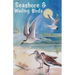 Seashore and Wading Birds of Florida