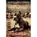 Pit Bull & Bull Terrier: History of Combat Dogs