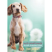 Such Small Hands: An Anti-Aversives Primer
