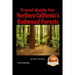 Travel Guide for Northern California's Redwood Forests