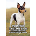 Toy Fox Terrier Dog: All Thing about The Playful Toy Fox Terrier: Toy Fox Terrier Dog Breed Complete Guide