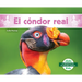 El Cóndor Real (King Vulture)