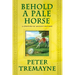 Behold a Pale Horse: A Mystery of Ancient Ireland