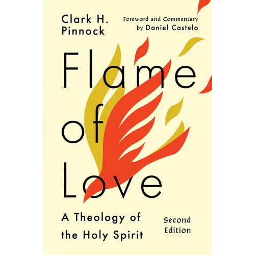 Flame of Love: Three Views on the Destiny of the Unevangelized
