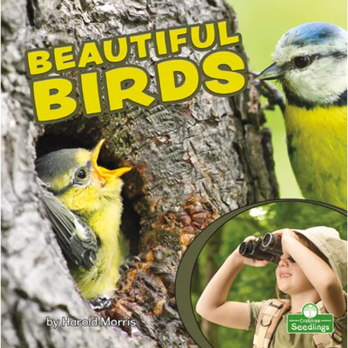 Beautiful Birds
