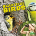 Beautiful Birds
