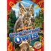 Great Horned Owls
