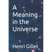 A Meaning in the Universe