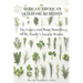 African American Old Home Remedies