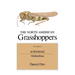 The North American Grasshoppers