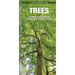 Trees: An Introduction to Familiar North American Species