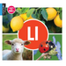 LL