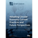 Adopting Circular Economy Current Practices and Future Perspectives
