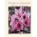 Thoughts on Traditional Korean Literature