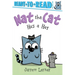 Nat the Cat Has a Hat: Ready-To-Read Pre-Level 1