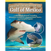 Amazing Creatures of the Gulf of Mexico: Learn about Animals Including Manatees, Seahorses, Hammerhead Sharks, and Vampire Squids!