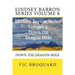 Lindsey Barron Series Volume 8 Down the Dragon Hole