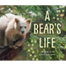 A Bear's Life