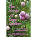 The Plants of Caye Caulker
