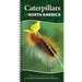 Caterpillars of North America: Easily Identify 90 Common Butterflies and Moths