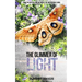 The Glimmer of Light