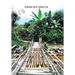A Narrow Bridge: Awakening From Mental Illness