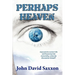 Perhaps Heaven: The Story of a Warrior's Life and His Journey to Immortality, Book I