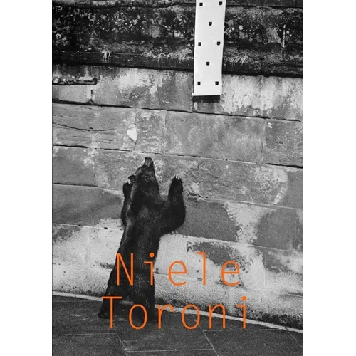 Niele Toroni