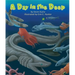 A Day in the Deep