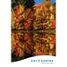 Day Surfer Login Organizer (Fall Colors)