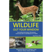 Wildlife Out Your Window: Fascinating Facts About 100 Animals Commonly Seen in the Midwest U.S. States