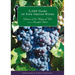 5,000 Years of Fine Cretan Wines: Glimpses of the History of Wine on a Beautiful Island