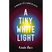 Tiny White Light: A Memoir of a Mind in Crisis