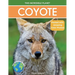 Coyote: Fascinating Animal Facts for Kids