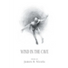 Wind in the Cave